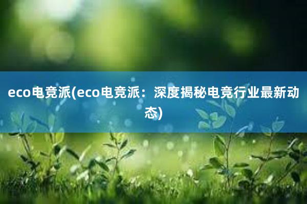 eco电竞派(eco电竞派：深度揭秘电竞行业最新动态)