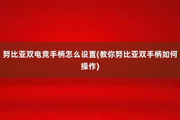 努比亚双电竞手柄怎么设置(教你努比亚双手柄如何操作)