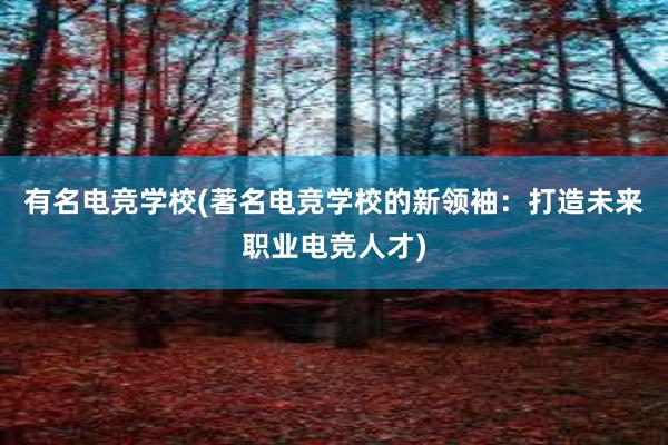 有名电竞学校(著名电竞学校的新领袖：打造未来职业电竞人才)