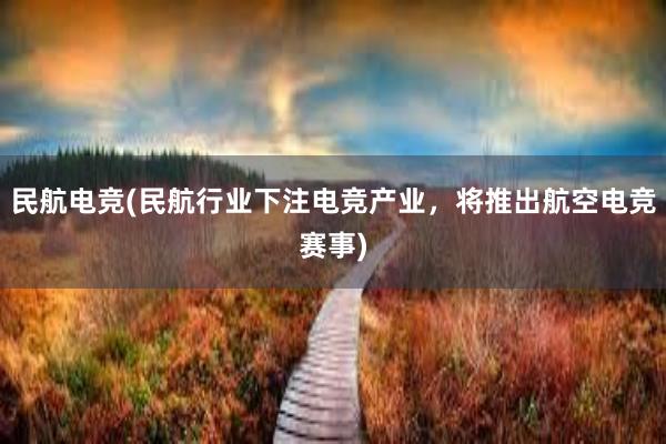 民航电竞(民航行业下注电竞产业，将推出航空电竞赛事)