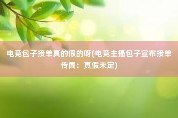 电竞包子接单真的假的呀(电竞主播包子宣布接单传闻：真假未定)