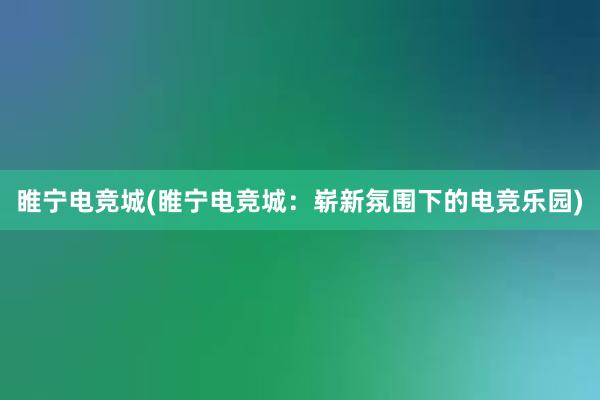 睢宁电竞城(睢宁电竞城：崭新氛围下的电竞乐园)