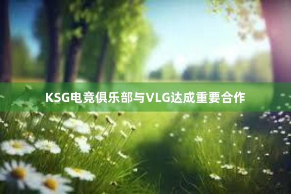 KSG电竞俱乐部与VLG达成重要合作