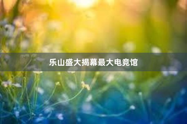 乐山盛大揭幕最大电竞馆