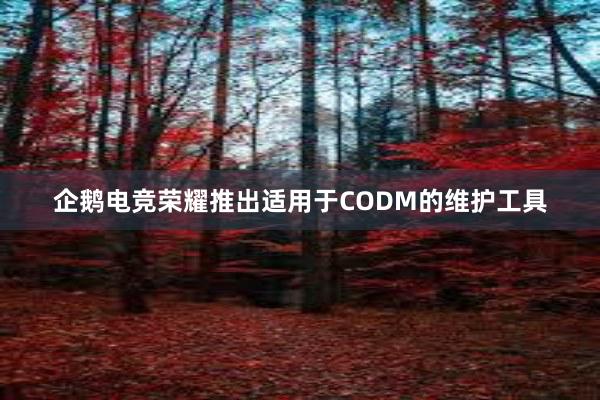 企鹅电竞荣耀推出适用于CODM的维护工具