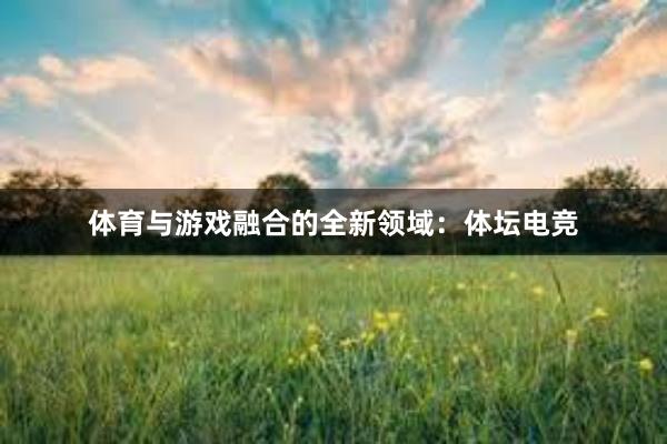 体育与游戏融合的全新领域：体坛电竞