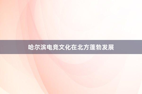 哈尔滨电竞文化在北方蓬勃发展