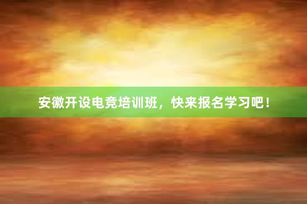 安徽开设电竞培训班，快来报名学习吧！