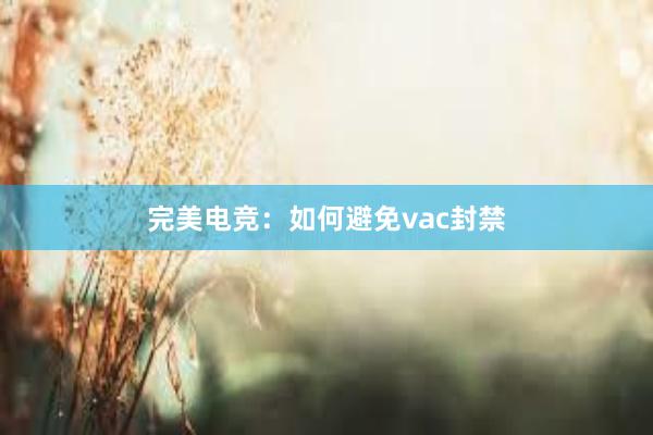 完美电竞：如何避免vac封禁