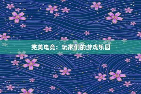 完美电竞：玩家们的游戏乐园