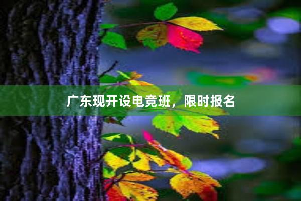 广东现开设电竞班，限时报名