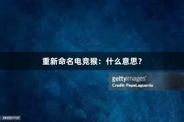 重新命名电竞猴：什么意思？